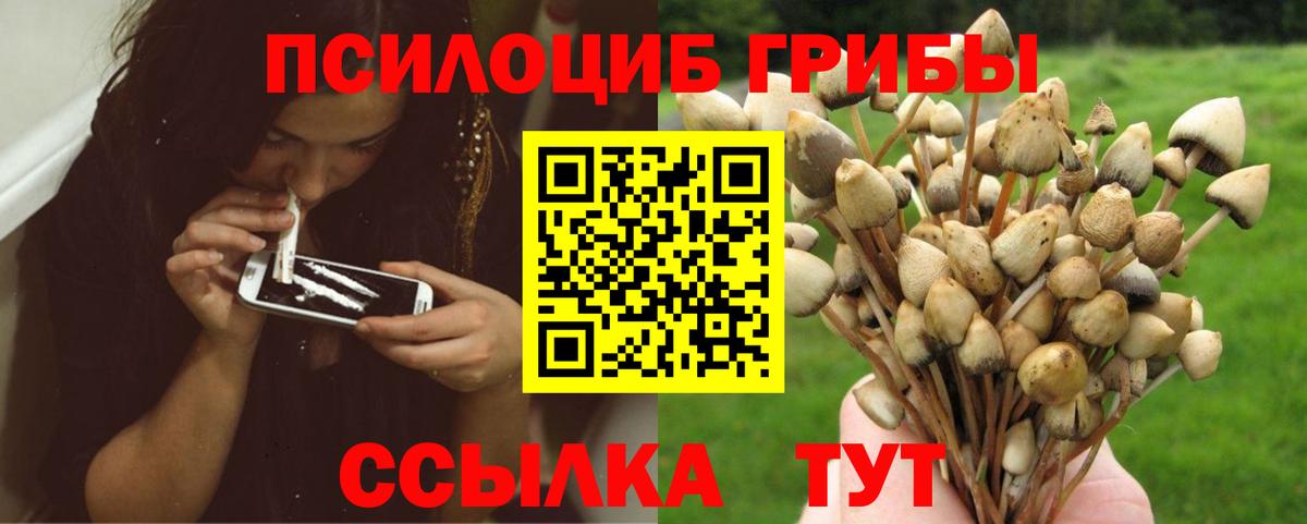 Галлюциногенные грибы Psilocybine cubensis  Вход с VPN  даркнет сайт  Нарткала 