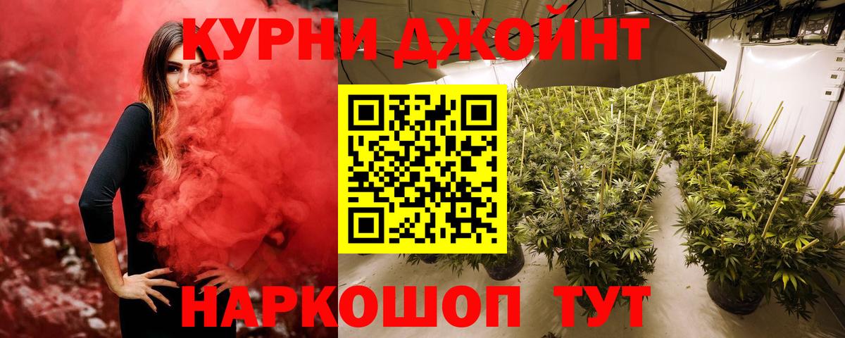 Бошки Шишки марихуана Нарткала